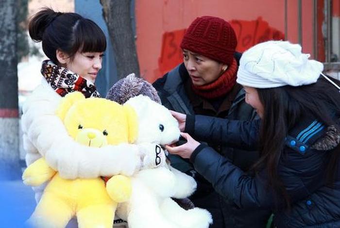 岳母娘的幸福生活电视剧一共多少集，电视剧岳母家的幸福生活