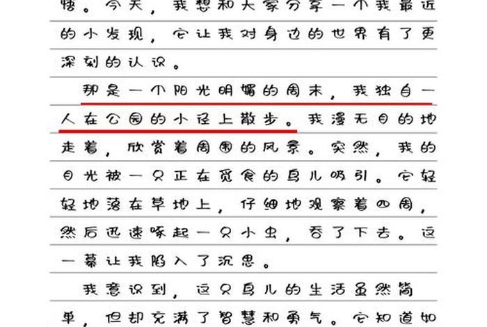 生活中的发现作文三年级300字、关于生活中的发现的作文300字 生活中的发现作文三年级300字、关于生活中的发现的作文300字