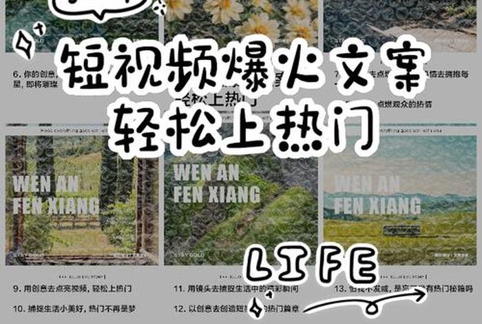 生活小常识视频与情感文案视频哪个涨粉快 - 情感vlog视频文案