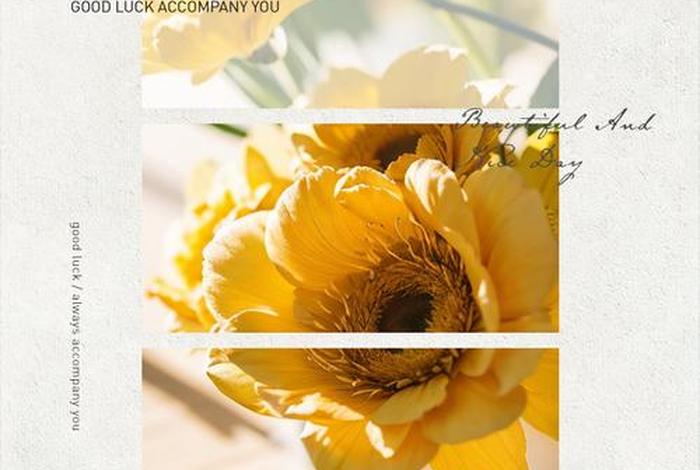 如何享受生活中的美;如何享受生活中的美好时刻? 如何享受生活中的美;如何享受生活中的美好时刻?