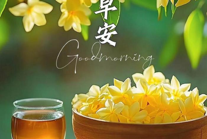 生活充满阳光的句子早安 - 生活充满阳光的文案 生活充满阳光的句子早安 - 生活充满阳光的文案