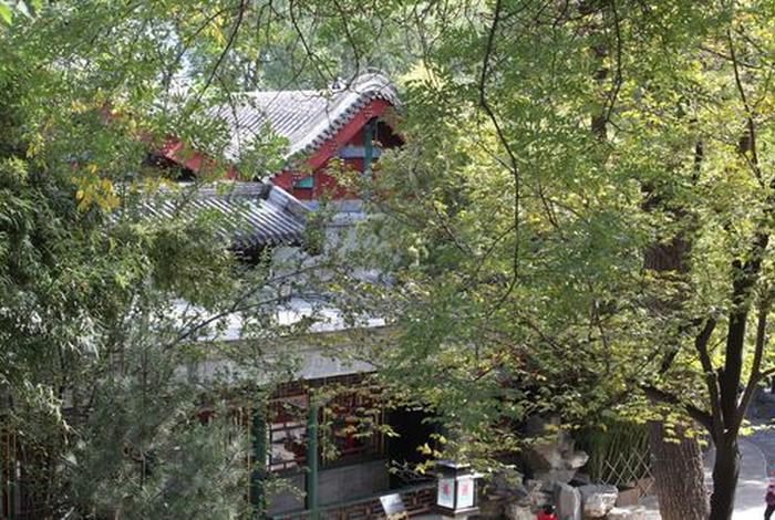 王府生活 聚合中文网 - 王府幸福生活