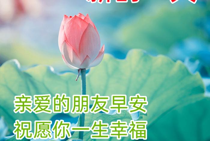 早安生活葛饰北斋;早安生活图片大全 早安生活葛饰北斋;早安生活图片大全