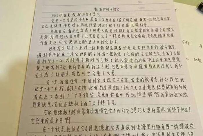 低配生活是什么意思,低配生活高配人生初一作文 低配生活是什么意思,低配生活高配人生初一作文
