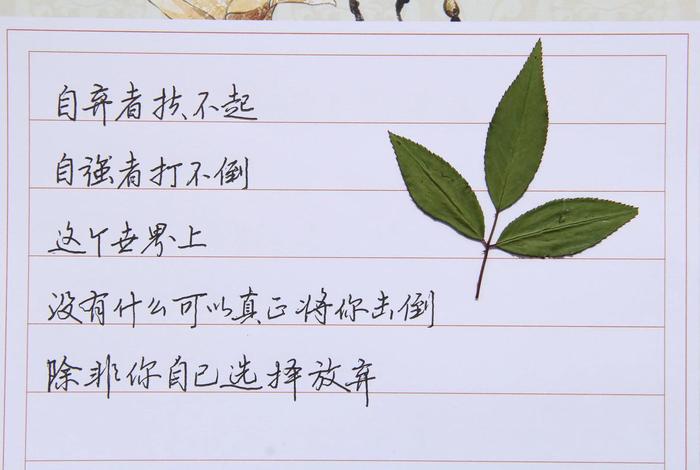 生活感悟的文案、生活感悟的文案说说 生活感悟的文案、生活感悟的文案说说