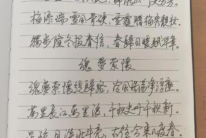 生活不止眼前的苟且是谁写的诗、生活不止眼前的苟且出自哪首诗