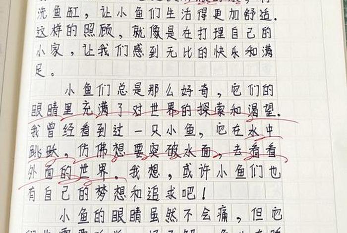 我眼中的生活作文怎么写(我眼中的生活是) 我眼中的生活作文怎么写(我眼中的生活是)