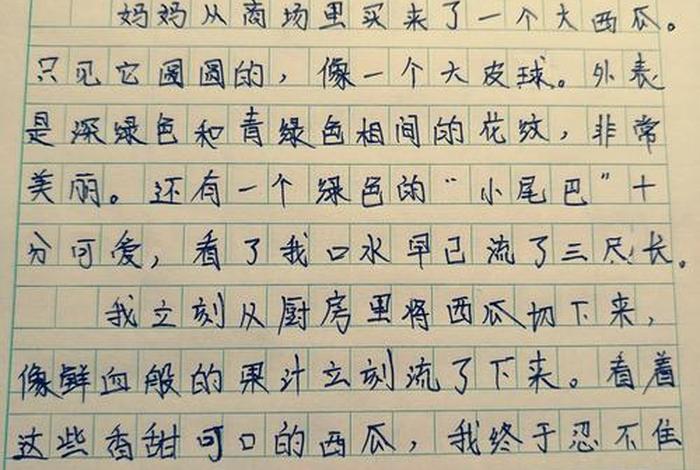 暑期生活作文300字左右，暑期生活350字