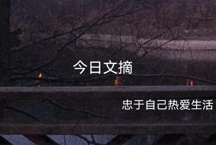 忠于自己热爱生活的英文 忠于自己热爱生活的意思 忠于自己热爱生活的英文 忠于自己热爱生活的意思