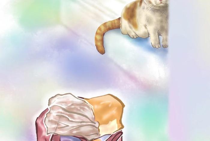 流浪猫的花语、流浪猫寓意