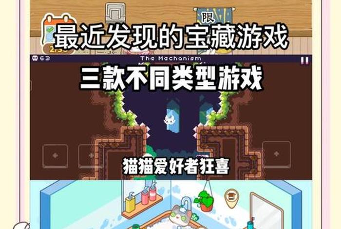 爱猫生活游戏下载，爱猫生活组邪教