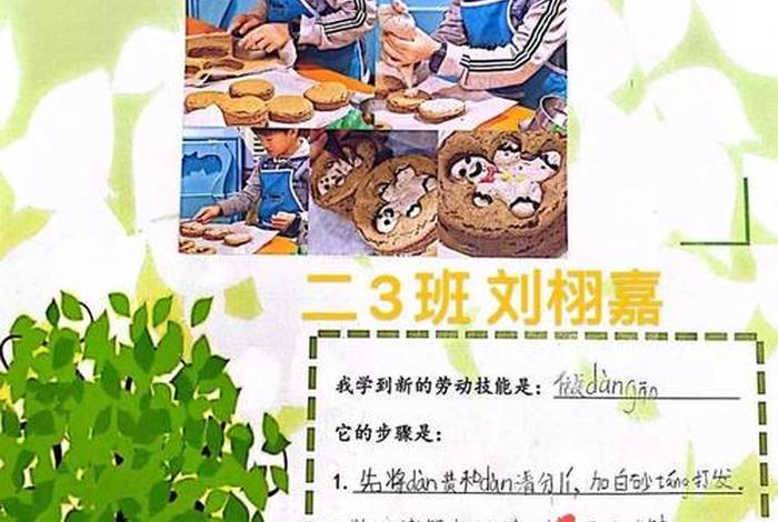 生活技能有哪些项目简单介绍 生活技能主要内容是什么