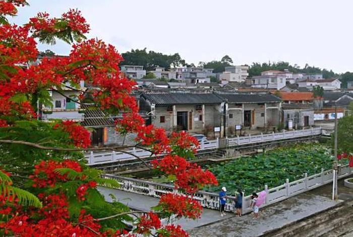 生活地带恩平；恩平文化生活