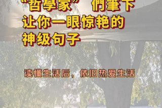 依然热爱生活的优美句子 依然热爱生活依然热泪盈眶