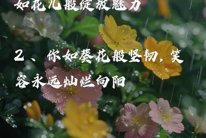 生活如花一样绽放的经典句子（生活如花一样绽放的经典句子图片）