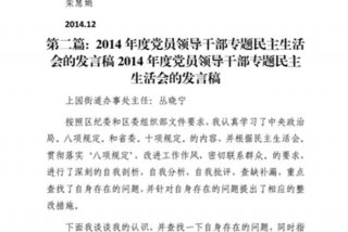 企业党员民主生活个人发言材料（企业党员生活会个人发言稿）