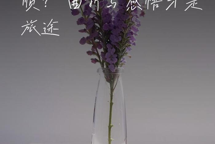 生活感悟的图片配图(生活感悟的图片配图大全) 生活感悟的图片配图(生活感悟的图片配图大全)