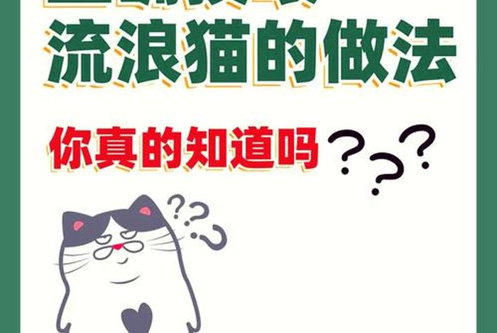 流浪猫的生活状态、流浪猫怎么生活方式