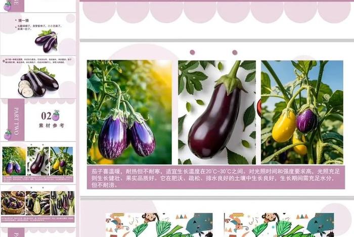 茄子生活APP - 茄子生活环境