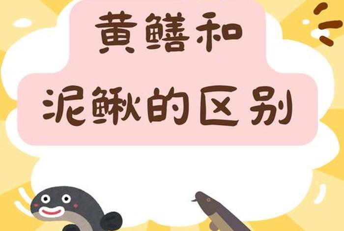泥鳅生活在水里还是泥里 泥鳅生活在什么水里