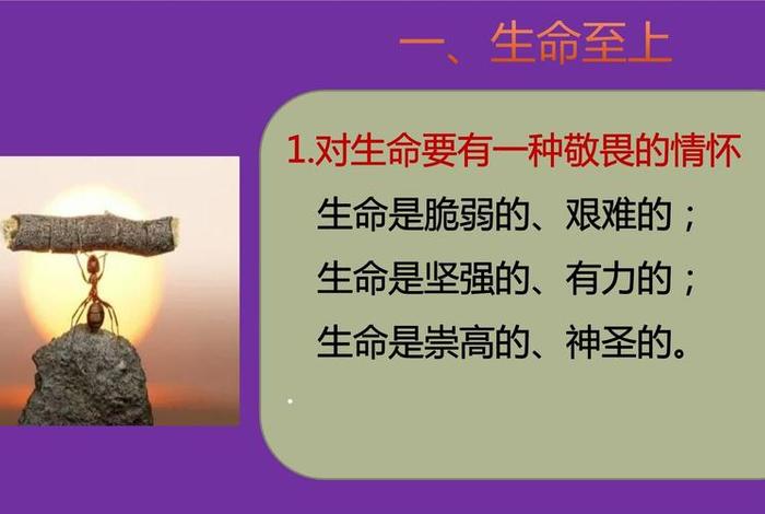 敬畏生命ppt课件免费(敬畏生命ppt课件免费下载) 敬畏生命ppt课件免费(敬畏生命ppt课件免费下载)