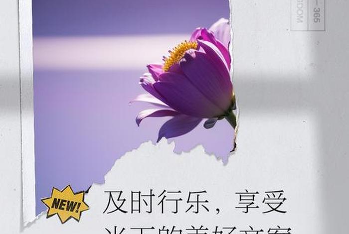 享受美好生活的前提是什么;享受生活享受美好 享受美好生活的前提是什么;享受生活享受美好