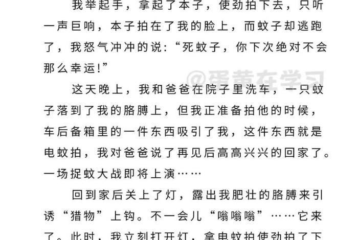 生活趣味的作文；关于生活趣味的句子