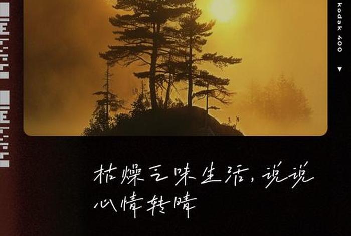 生活枯燥乏味下一句是什么文案，生活枯燥乏味是什么意思