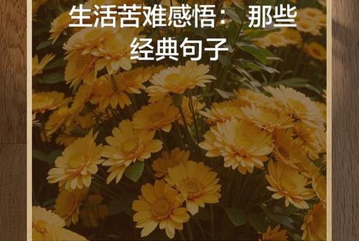 生活 经典语录（生活经典语录 太经典了）