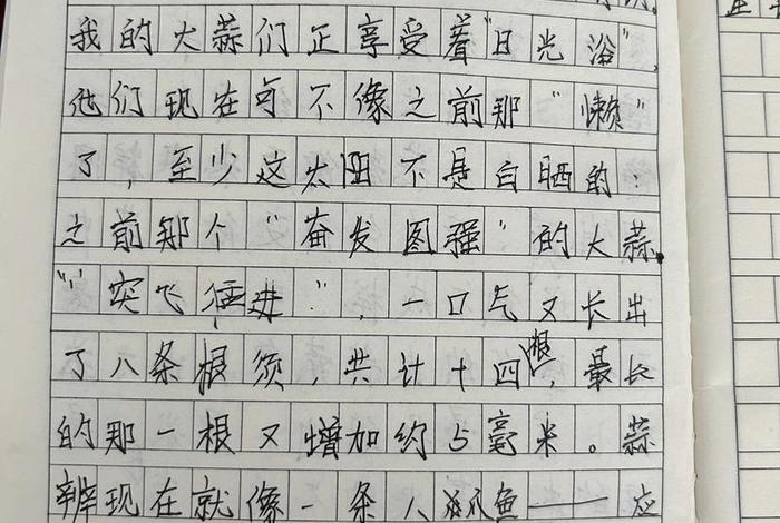 观察生活日记300字五年级、观察生活日记100字左右 观察生活日记300字五年级、观察生活日记100字左右