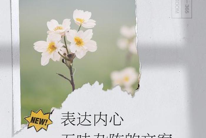 生活五味杂陈经典语录,生活五味杂陈的下一句 生活五味杂陈经典语录,生活五味杂陈的下一句