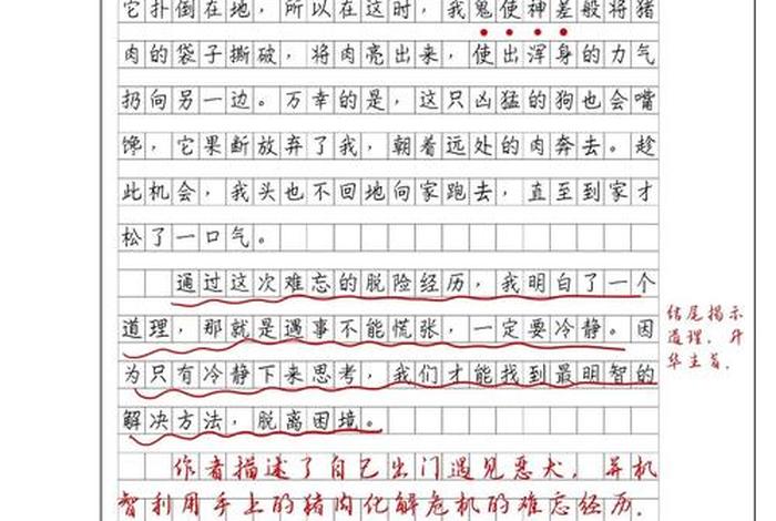 校园生活的句子加批注（校园生活作文带批注）