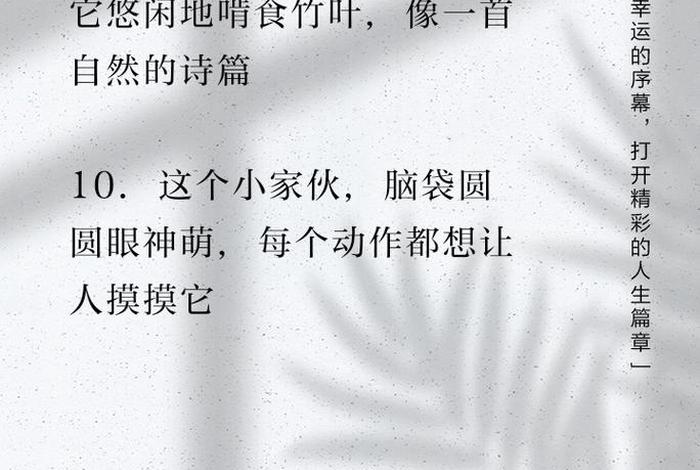 熊猫生活习性的句子，熊猫生活特点描写一段话