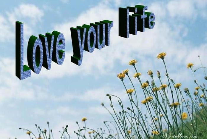 热爱生活的英文表达;热爱生活 的英文 热爱生活的英文表达;热爱生活 的英文