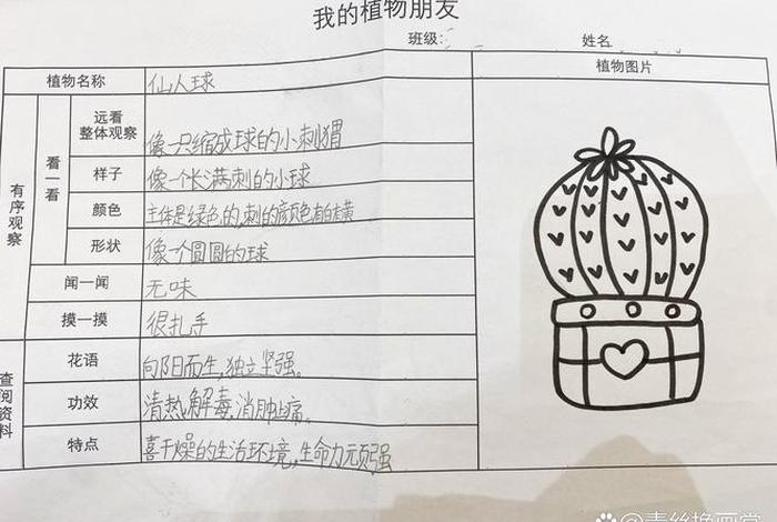 生活观察记录100篇 生活观察记录100篇三年级 生活观察记录100篇 生活观察记录100篇三年级