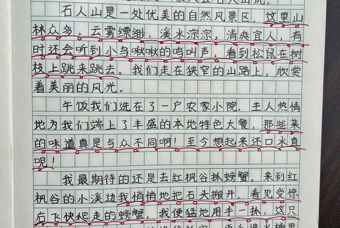 装点生活作文 装点了我的生活 作文