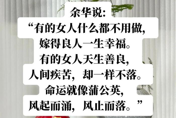 不会生活的女人(不会生活的女生) 不会生活的女人(不会生活的女生)