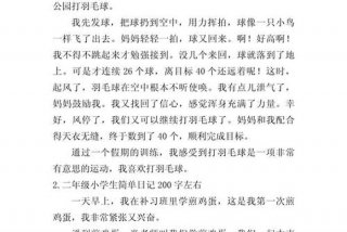 二年级生活日记200字左右 二年级小学生生活日记