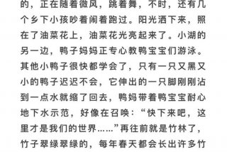 乡下生活作文350字四年级下册，乡下生活作文400字作文