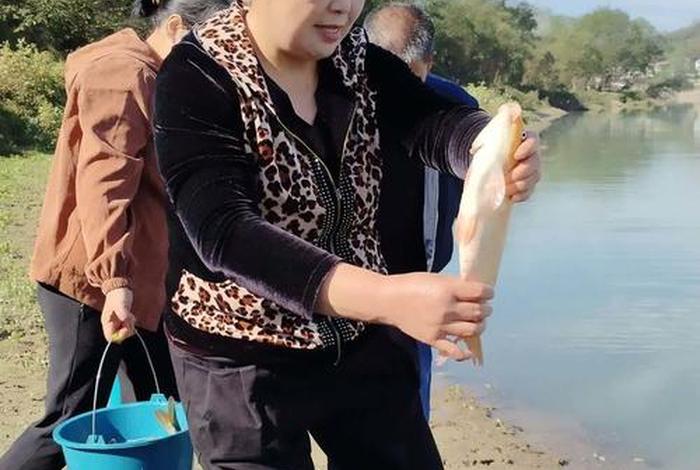 放生活动总结;放生活动美篇 放生活动总结;放生活动美篇