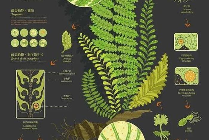 日常生活中的信息，日常生活中的信息可视化