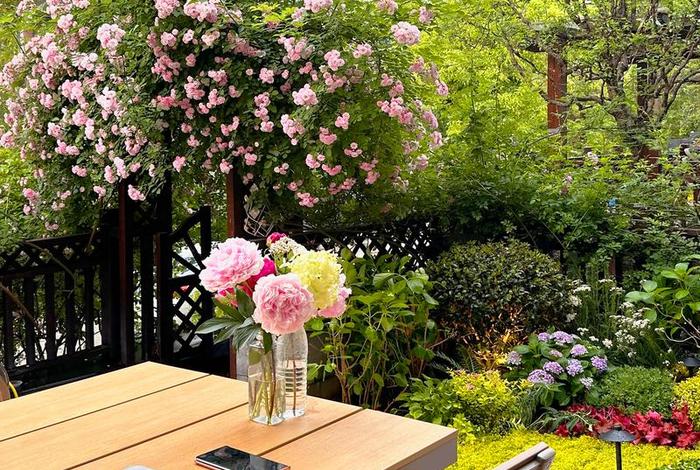 安逸生活图片素材，安逸生活意思