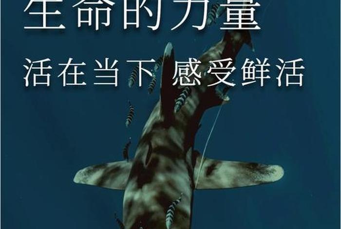 生命与生活文案(生命与生活文案短句) 生命与生活文案(生命与生活文案短句)