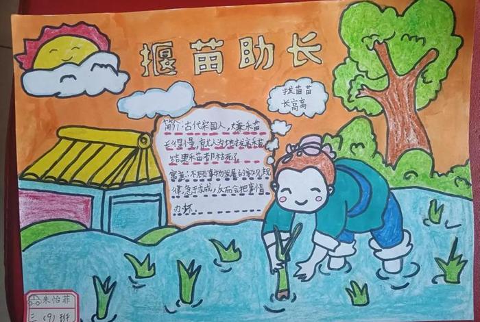 读了揠苗助长想到了生活中的一件事;读了揠苗助长这个寓言故事我想对那个人说 读了揠苗助长想到了生活中的一件事;读了揠苗助长这个寓言故事我想对那个人说