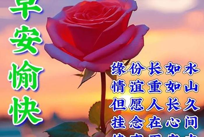 平安生活每一天 - 平安每一天歌词