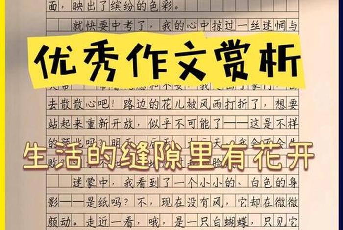 生活趣味作文 600字;生活的趣味作文素材 生活趣味作文 600字;生活的趣味作文素材