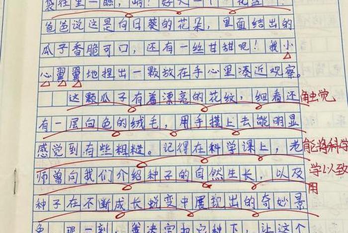 我眼中的生活作文550字（我眼中的生活作文550字左右）