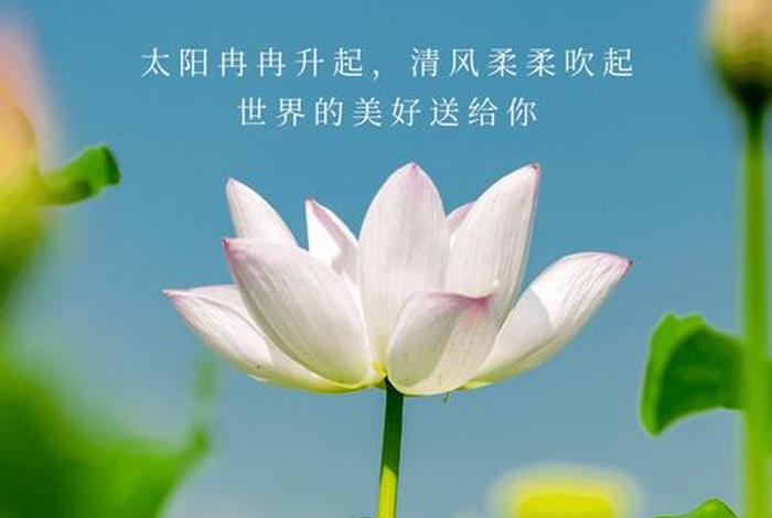 早安生活很现实的简单文案 - 早安心语现实生活