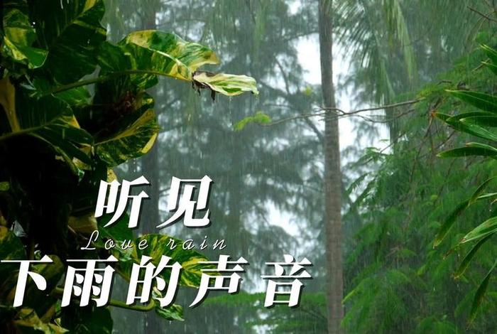 生活中有哪些现象表示下雨(生活中常见下雨的声音) 生活中有哪些现象表示下雨(生活中常见下雨的声音)