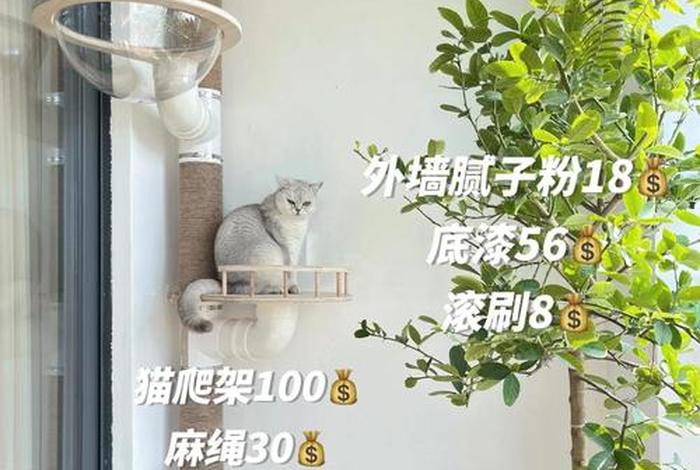 生活改造家猫爸猫妈、生活改造家猫咪 生活改造家猫爸猫妈、生活改造家猫咪